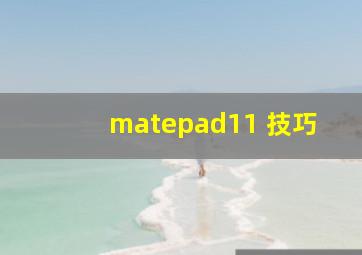 matepad11 技巧